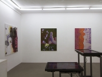 http://www.jeanbaptistelenglet.com/files/gimgs/th-30_Eau_cactus_4.jpg